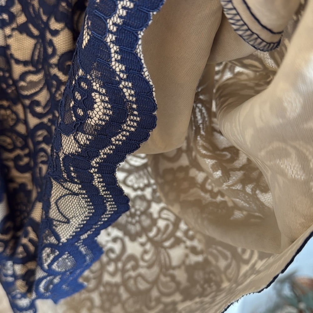 Navy Lace Overlay Dress - Picture 7 of 7